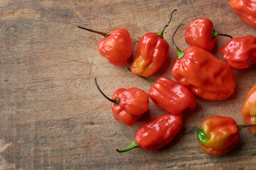 red habanero chili peppers on wooden surface or cutting board, hottest spice with wrinkled or...