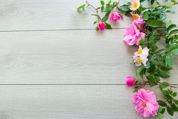 light wooden background with bright pink roses