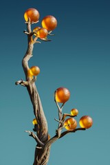 A lush, green plant stands proudly, its branches adorned with clusters of vibrant, juicy fruits. The ripe fruits, glowing in shades of red and yellow, dangle temptingly, promising a delicious, fresh h