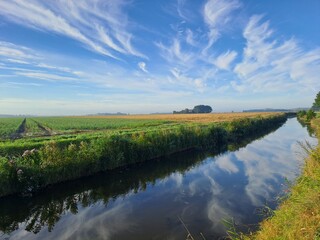 reflection on summer day in Usquert, Netherlands