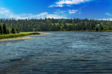 Birds art ponds trees and Red Deer River at Kerry Wood Natural Centre Red Deer County Alberta Canada