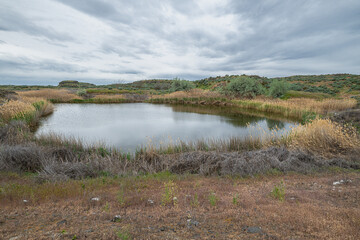 Lemna Lake in the Columbia National Wildlife Refuge, WA