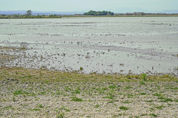 Zicksee im Burgenland