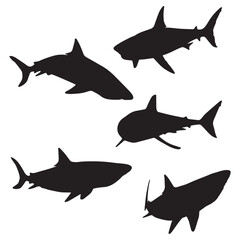 Shark Silhouette Vector Art