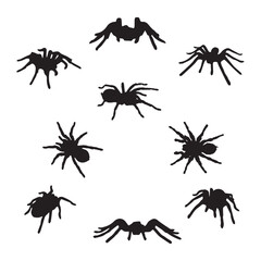 Spider Silhouette Vector Illustration Set