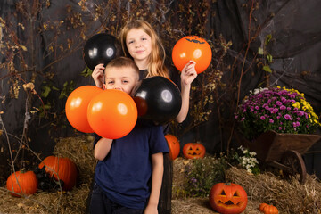 close-up portrait of happy, funny children holding a pumpkin on their heads. children playing...