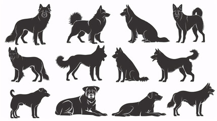 Obraz premium Silhouettes of different dog breeds on a white background