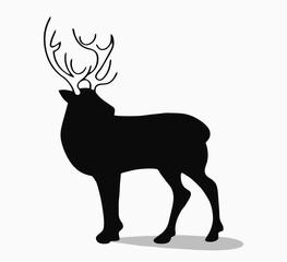 deer vector illustration