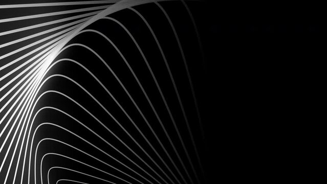 Wavy line abstract animated background. 4k seamless loop animation.