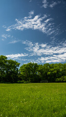 Obraz premium Landscape of grassland and beautiful sky in the park. Use as natural background.