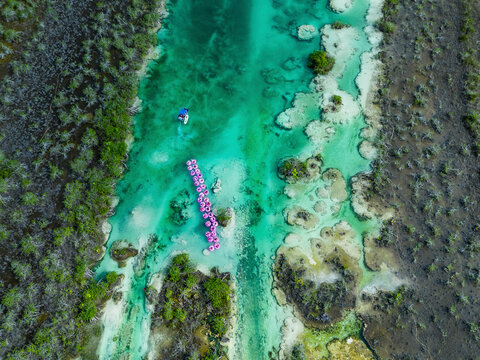 Aerial view of natural lagoon with inflatable swimming ring, Othon P. Blanco, Quintana Roo, Mexico.