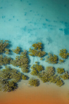 Aerial view of mangrove pattern at Simpson Beach, Broome, Western Australia, Australia.