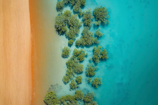 Aerial view of mangrove forms at Simpson Beach, Broome, Western Australia, Australia.