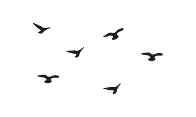 Flying Birds Vector And Illustration. 