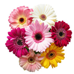 Colorful gerbera daisy bouquet transparent background