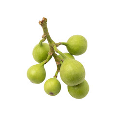 Bunch of green cluster fig isolated on transparent background