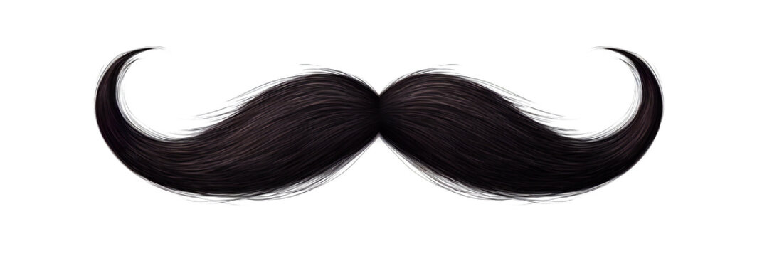 Curled black mustache on transparent background