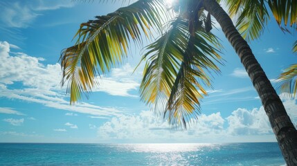 Tropical paradise with palm trees and ocean view