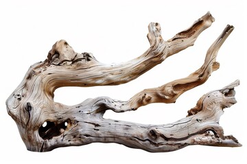 Wooden panels: a creative way to embrace natural elements in home decor