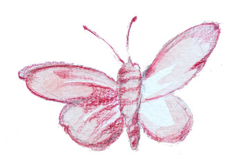 Butterfly artwork isolated on white background.Watercolor and pencil moss illustration.