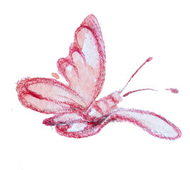 Butterfly artwork isolated on white background.Watercolor and pencil moss illustration.