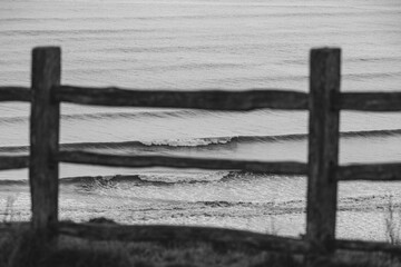 perfectly framed ocean surf wave