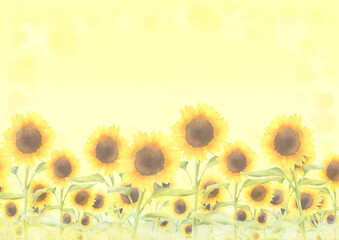 sunflower background