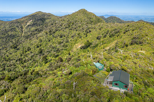 Aerial view of natural forest landscape with mountain summit in Te Pahu, Waikato, New Zealand.