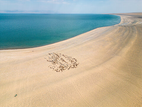 Aerial view of sandy beach with blue waves on Khyargas Lake, Uvs, Mongolia.