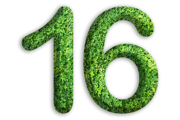 3d of the number of 16 is made from green grass on white background, go green concept