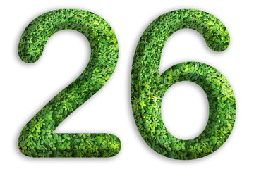 3d of the number of 26 is made from green grass on white background, go green concept