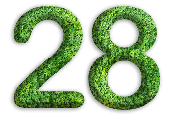 3d of the number of 28 is made from green grass on white background, go green concept
