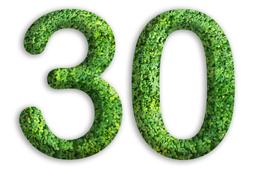3d of the number of 30 is made from green grass on white background, go green concept