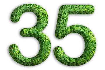 3d of the number of 35 is made from green grass on white background, go green concept