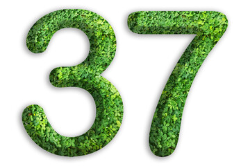 3d of the number of 37 is made from green grass on white background, go green concept
