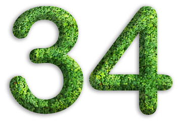 3d of the number of 34 is made from green grass on white background, go green concept
