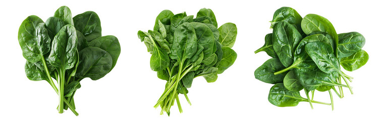 Vibrant Fresh Spinach Leaves Collection Isolated on White Background, Perfect for Healthy Cooking and Dietary Needs