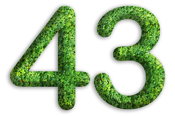 3d of the number of 43 is made from green grass on white background, go green concept