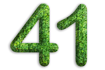 3d of the number of 41 is made from green grass on white background, go green concept