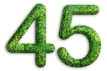 3d of the number of 45 is made from green grass on white background, go green concept