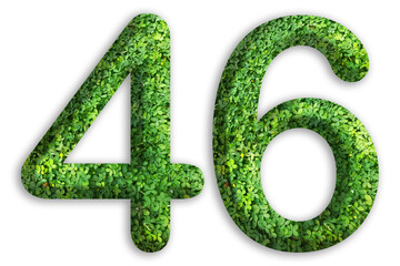 3d of the number of 46 is made from green grass on white background, go green concept