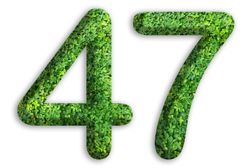 3d of the number of 47 is made from green grass on white background, go green concept