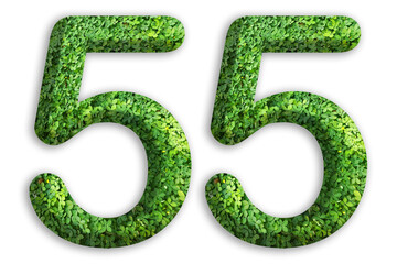 3d of the number of 55 is made from green grass on white background, go green concept