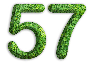 3d of the number of 57 is made from green grass on white background, go green concept