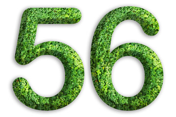 3d of the number of 56 is made from green grass on white background, go green concept