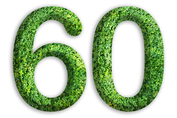 3d of the number of 60 is made from green grass on white background, go green concept