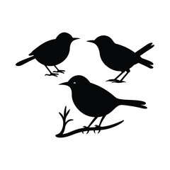 Wren bird silhouette set Clipart on a white Background