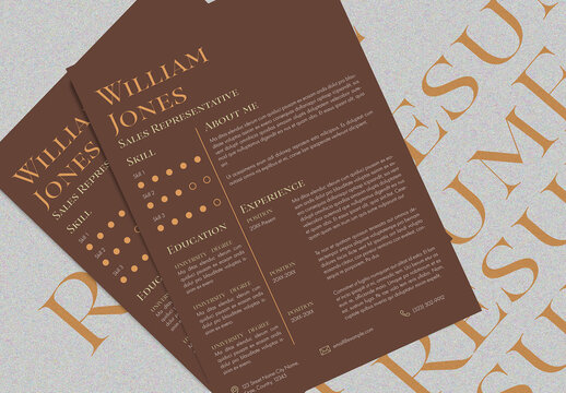 Classic Resume