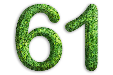 3d of the number of 61 is made from green grass on white background, go green concept