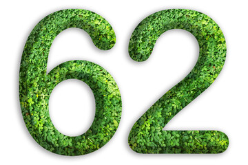 3d of the number of 62 is made from green grass on white background, go green concept